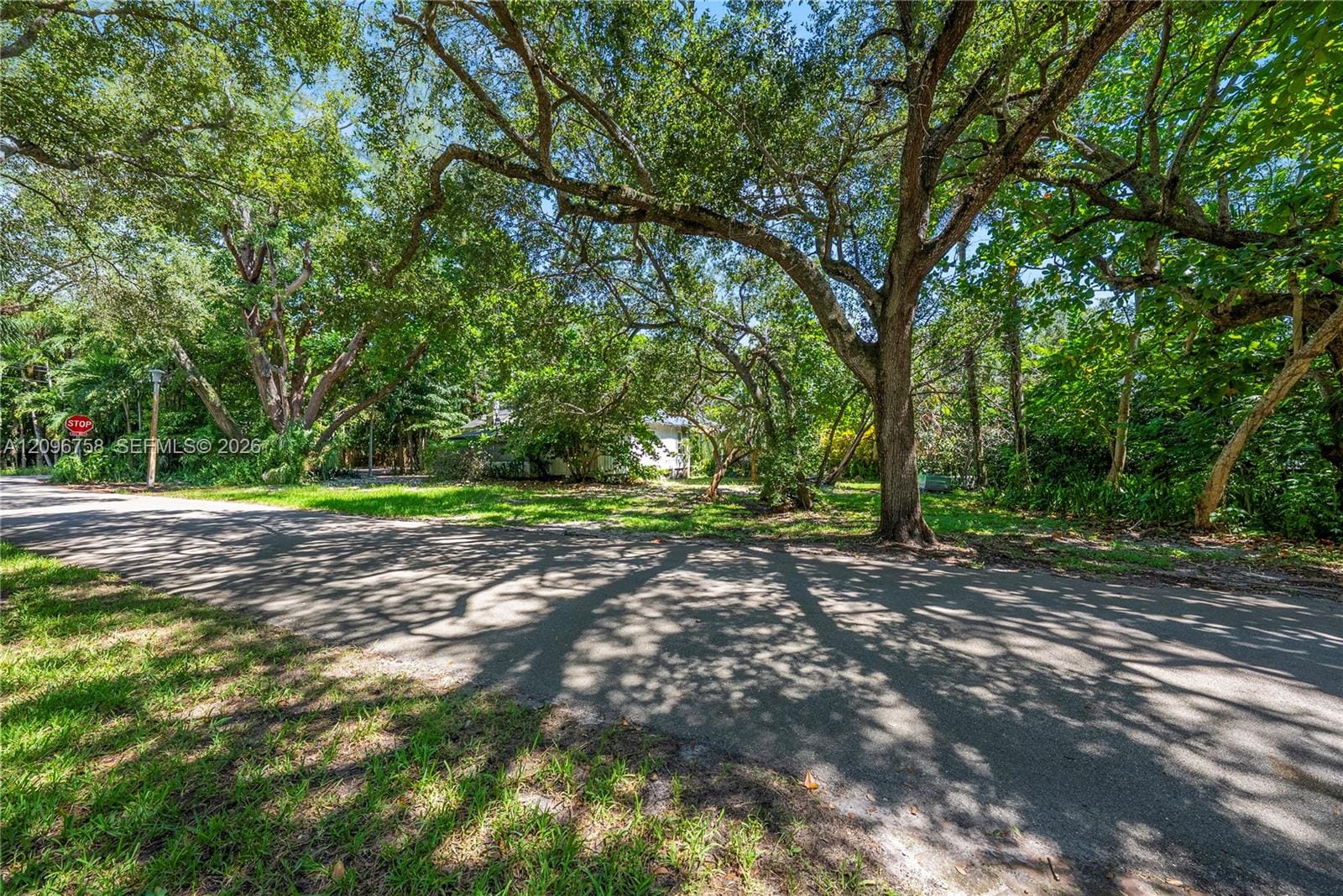 3598 Avocado Avenue, Miami, FL 33133 photo 3