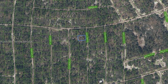 272 Sun Flower Drive, Lake Placid, FL 33852