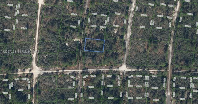 305 Blue Heaven Drive, Lake Placid, FL 33852