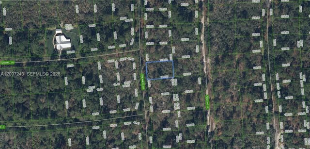 269 Dreamers Drive, Lake Placid, FL 33852