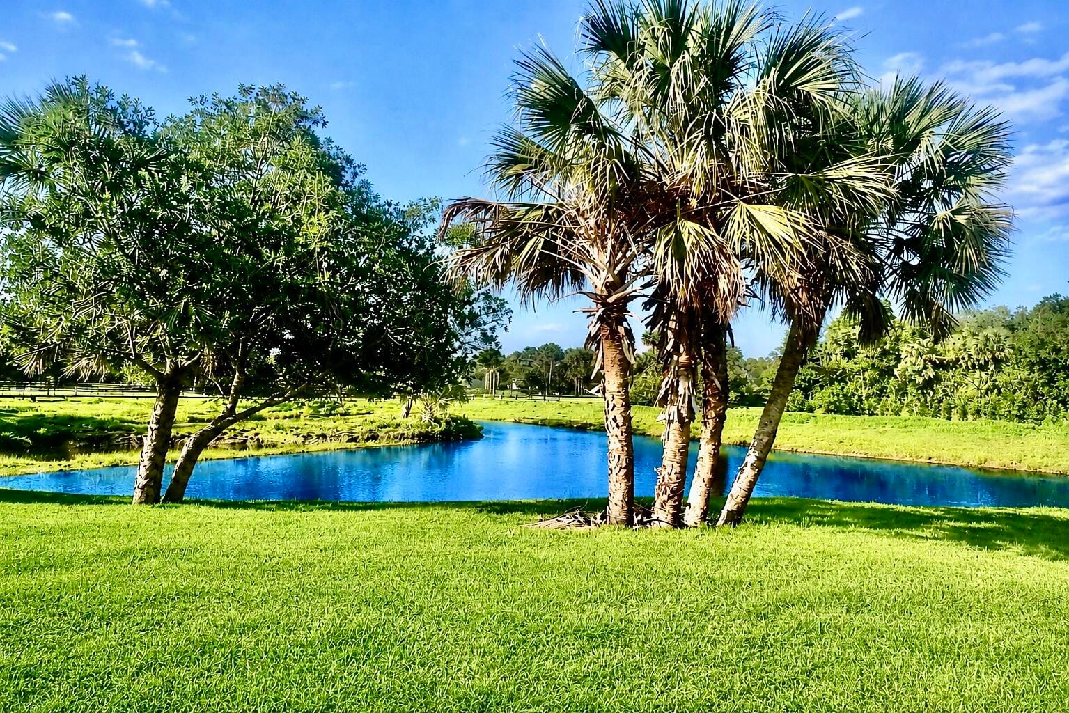 2452 SE 130TH Way, Okeechobee, FL 34974 photo 13
