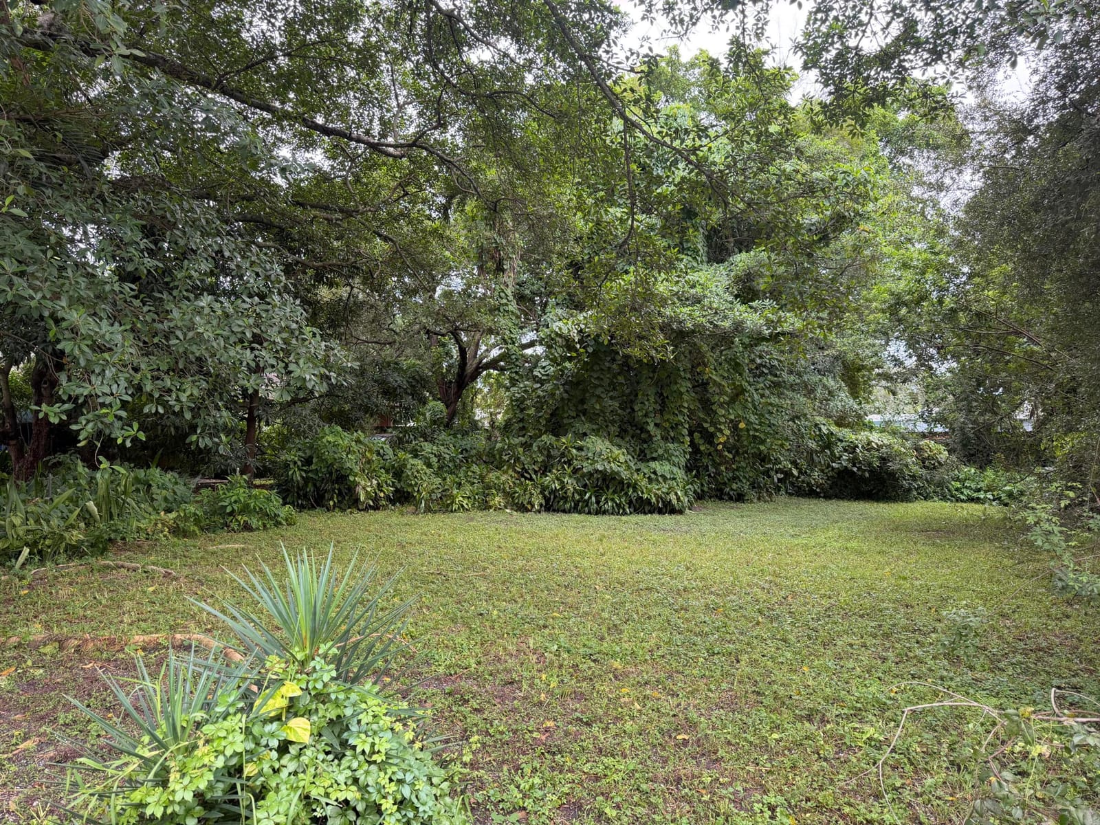 5814 LINCOLN Street, Hollywood, FL 33021 photo 1