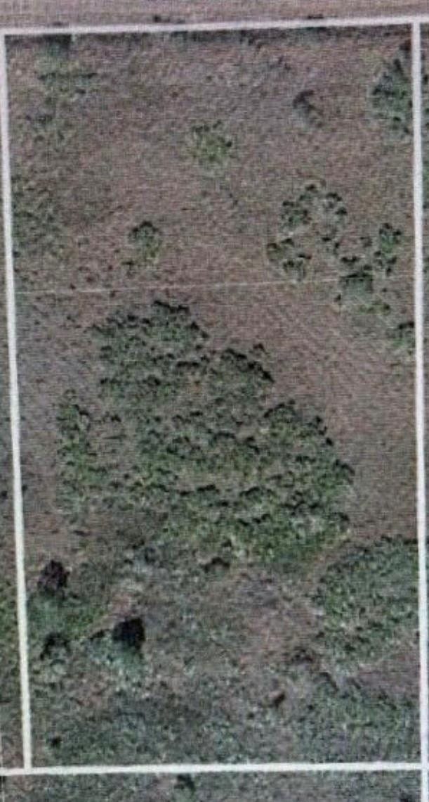 17128 NW 314TH Street, Okeechobee, FL 34972 photo 2