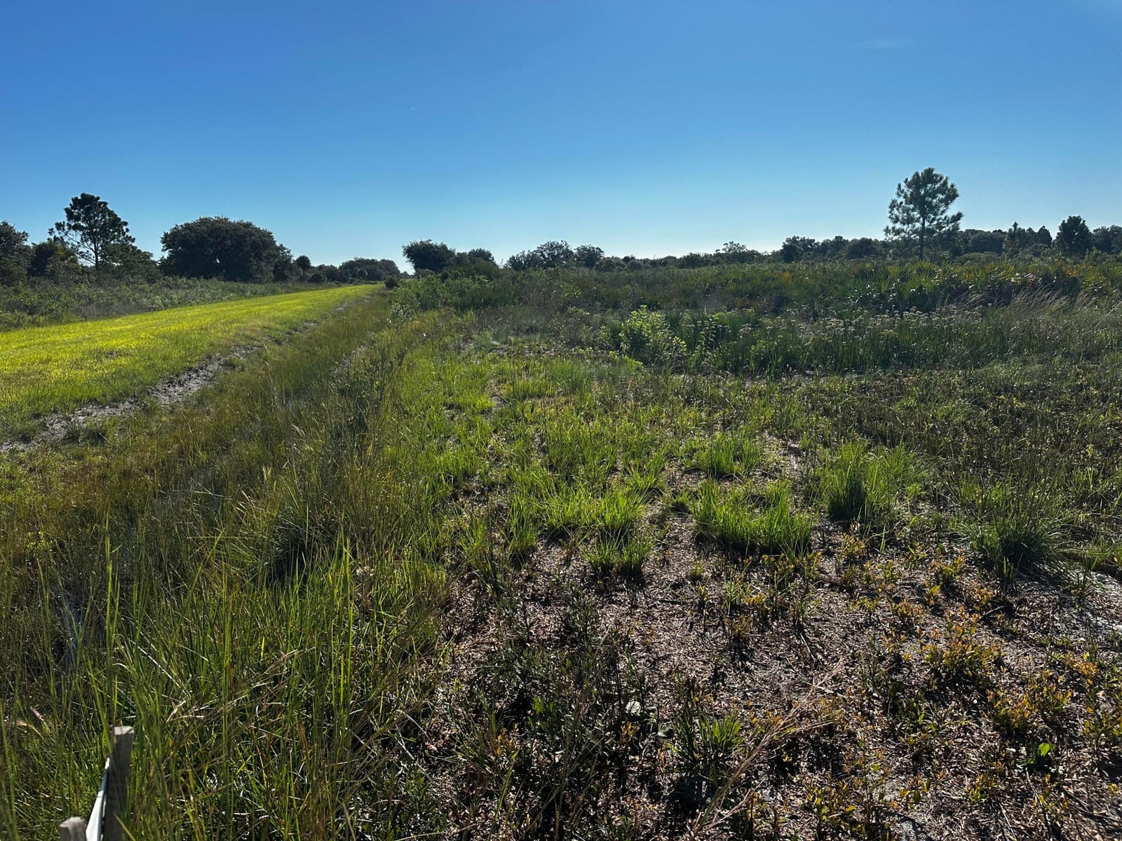 17128 NW 314TH Street, Okeechobee, FL 34972 photo 11