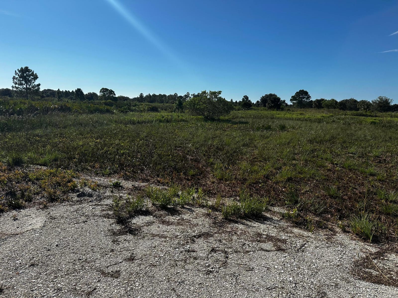 17128 NW 314TH Street, Okeechobee, FL 34972 photo 12