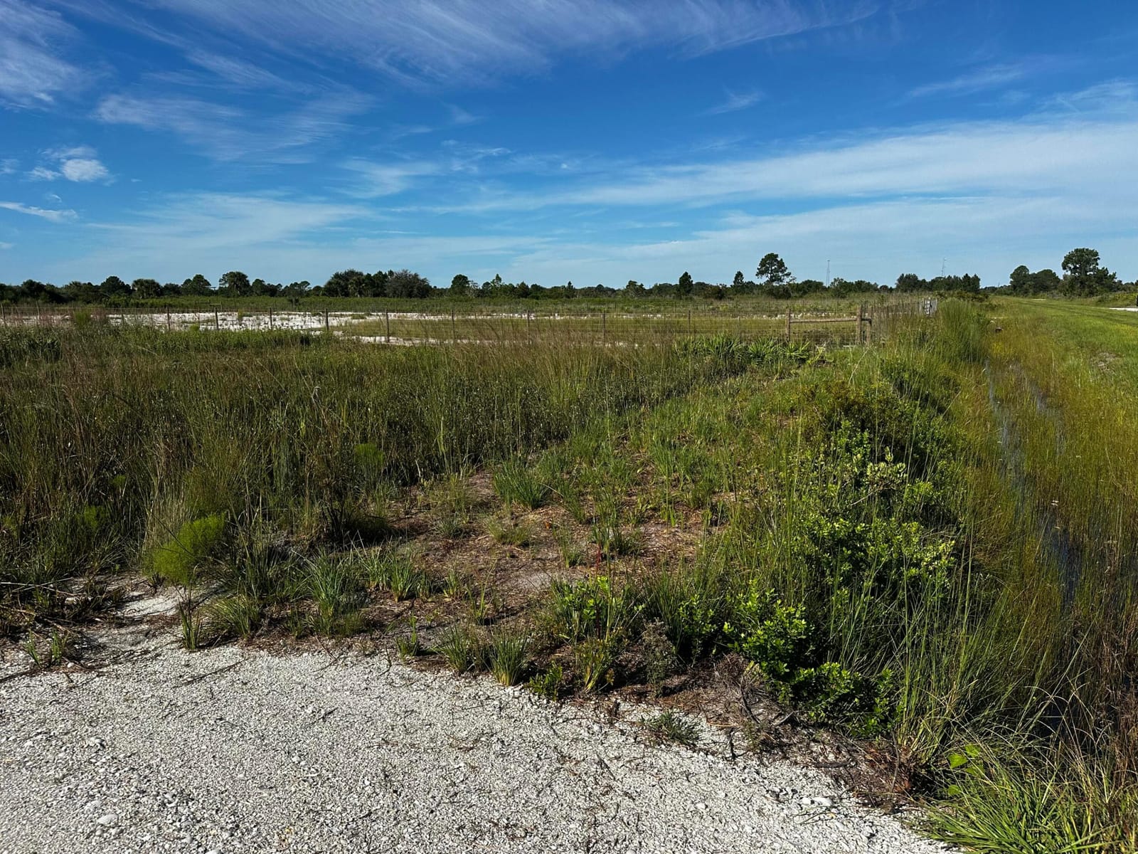 17128 NW 314TH Street, Okeechobee, FL 34972 photo 13