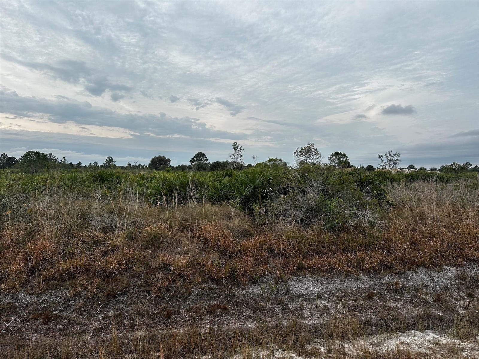 17128 NW 314TH Street, Okeechobee, FL 34972 photo 6