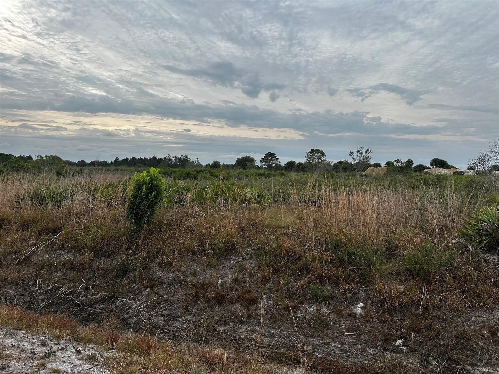 17128 NW 314TH Street, Okeechobee, FL 34972 photo 8