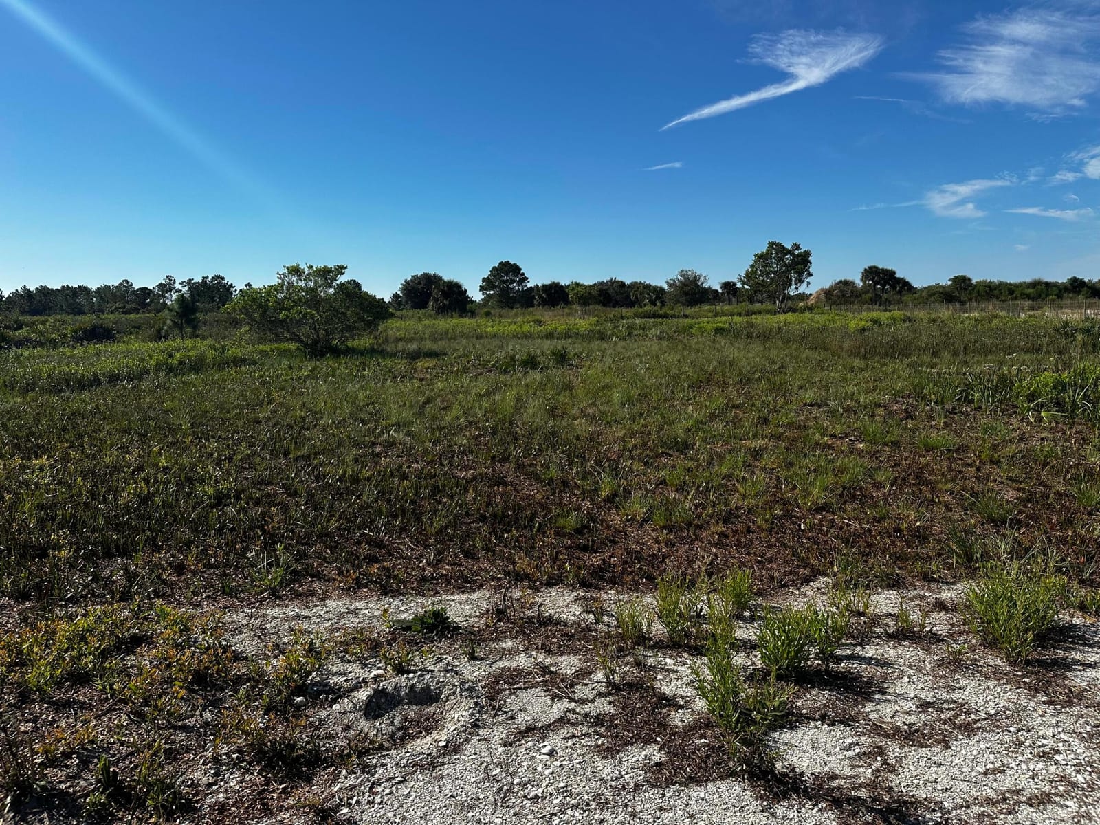 17128 NW 314TH Street, Okeechobee, FL 34972 photo 10
