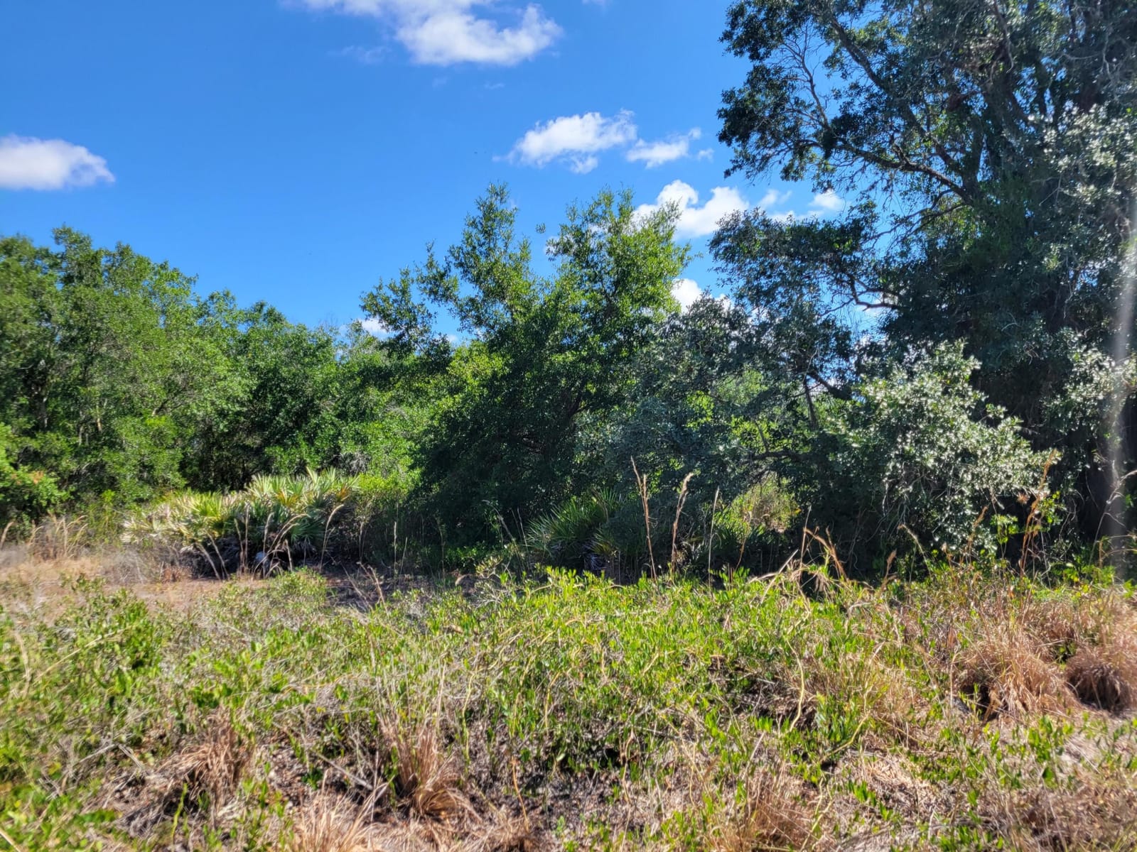 17591 NW 280TH Street, Okeechobee, FL 34972 photo 2