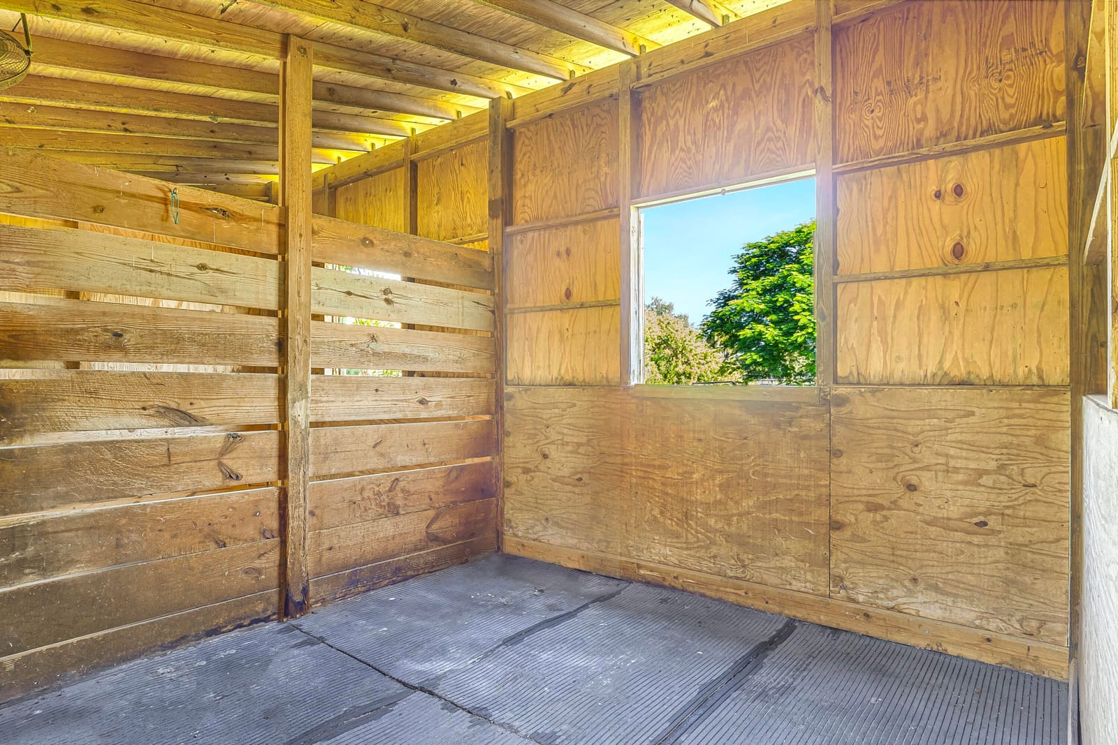 16693 Deer Path Lane — photo 11