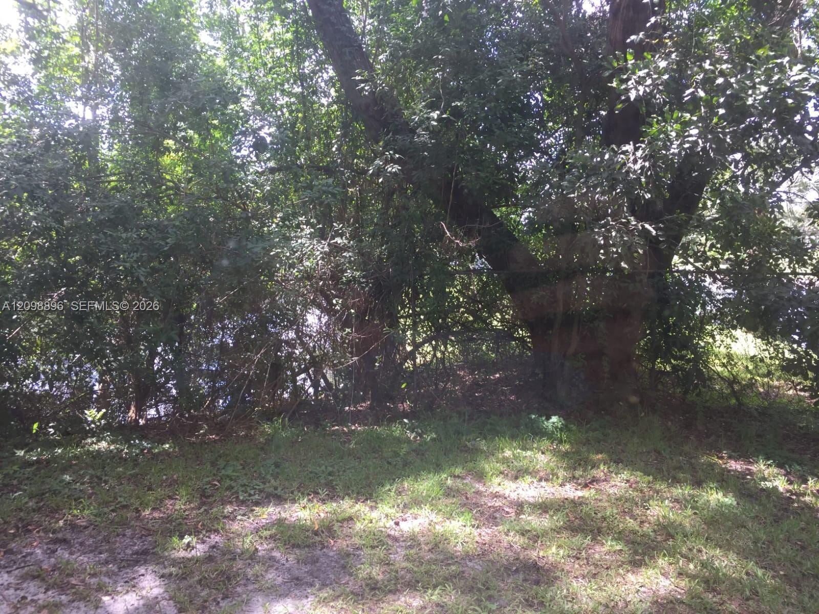 4055 W Mcnab Road H112, Pompano Beach, FL 33069 photo 15