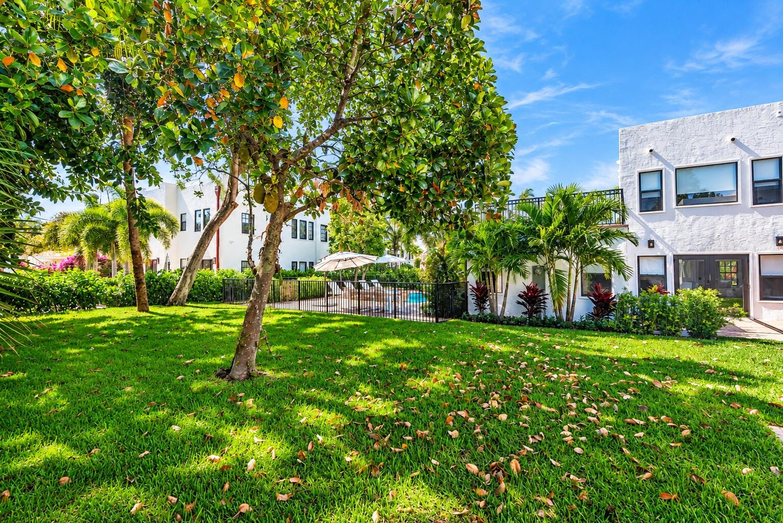 237 Monroe Drive — photo 4