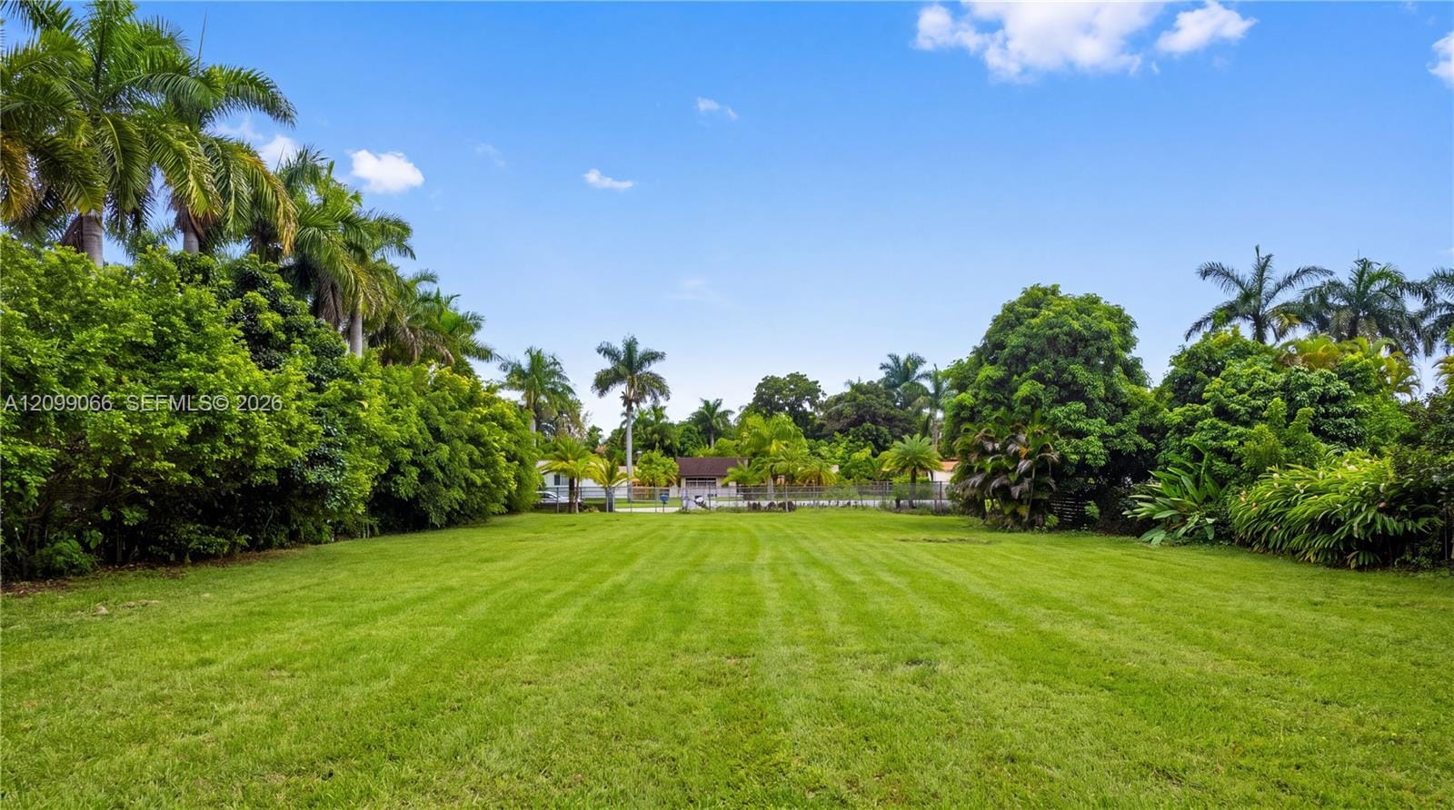 14000 NE 1st Avenue, Miami, FL 33161 photo 12