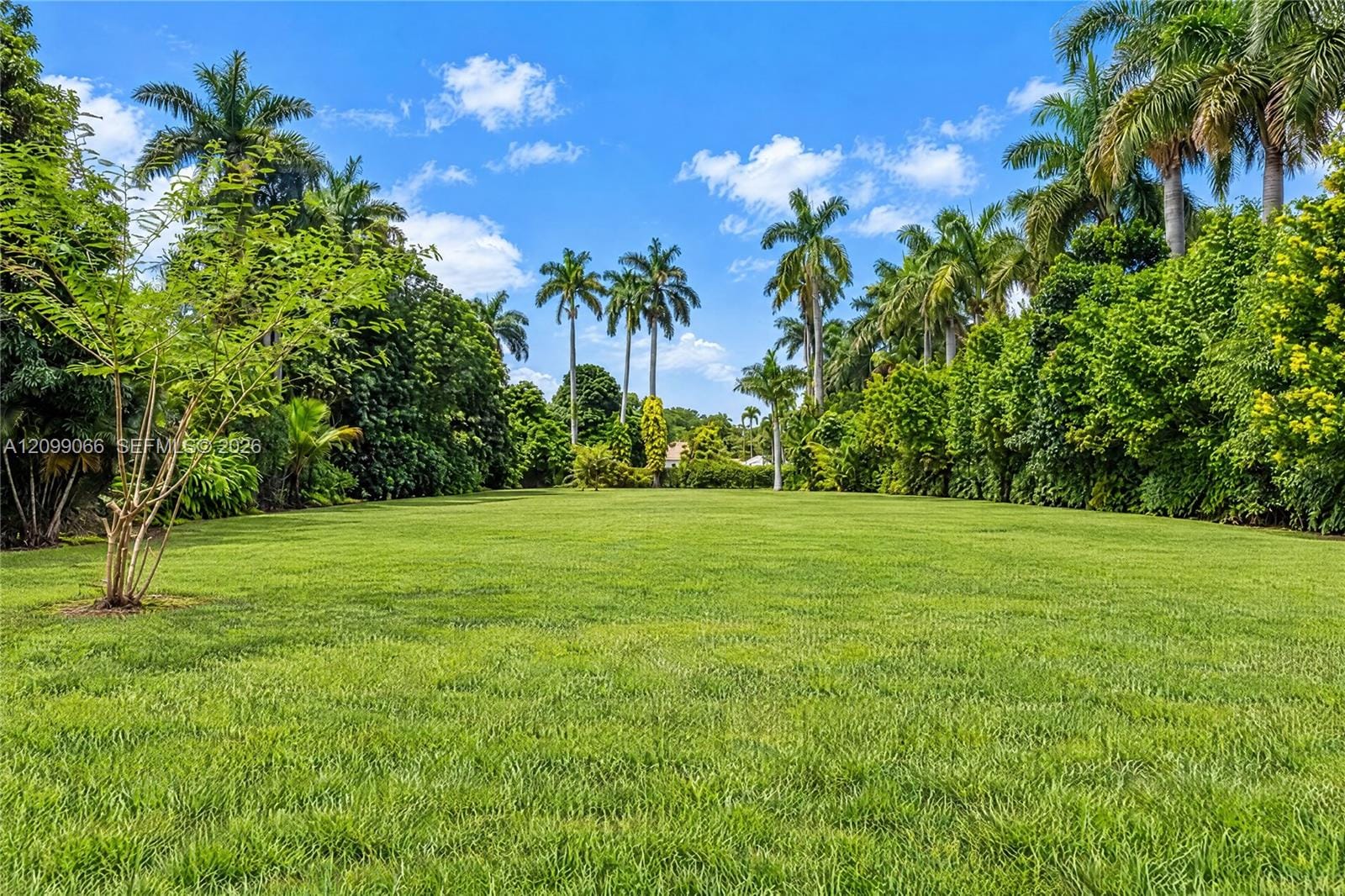14000 NE 1st Avenue, Miami, FL 33161 photo 14