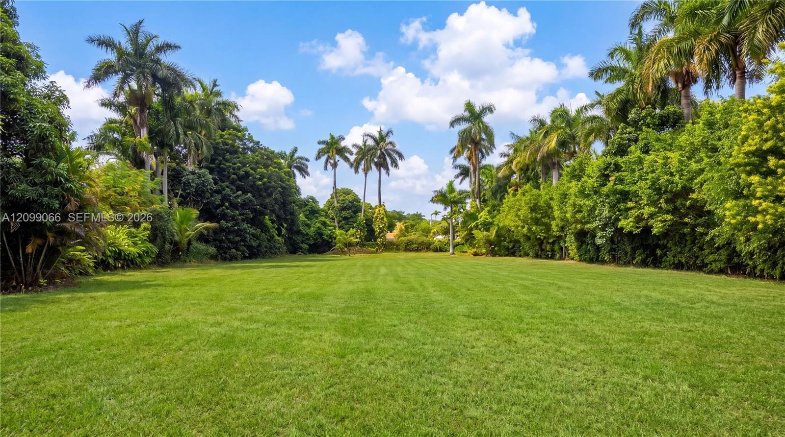 14000 NE 1st Avenue, Miami, FL 33161 photo 4