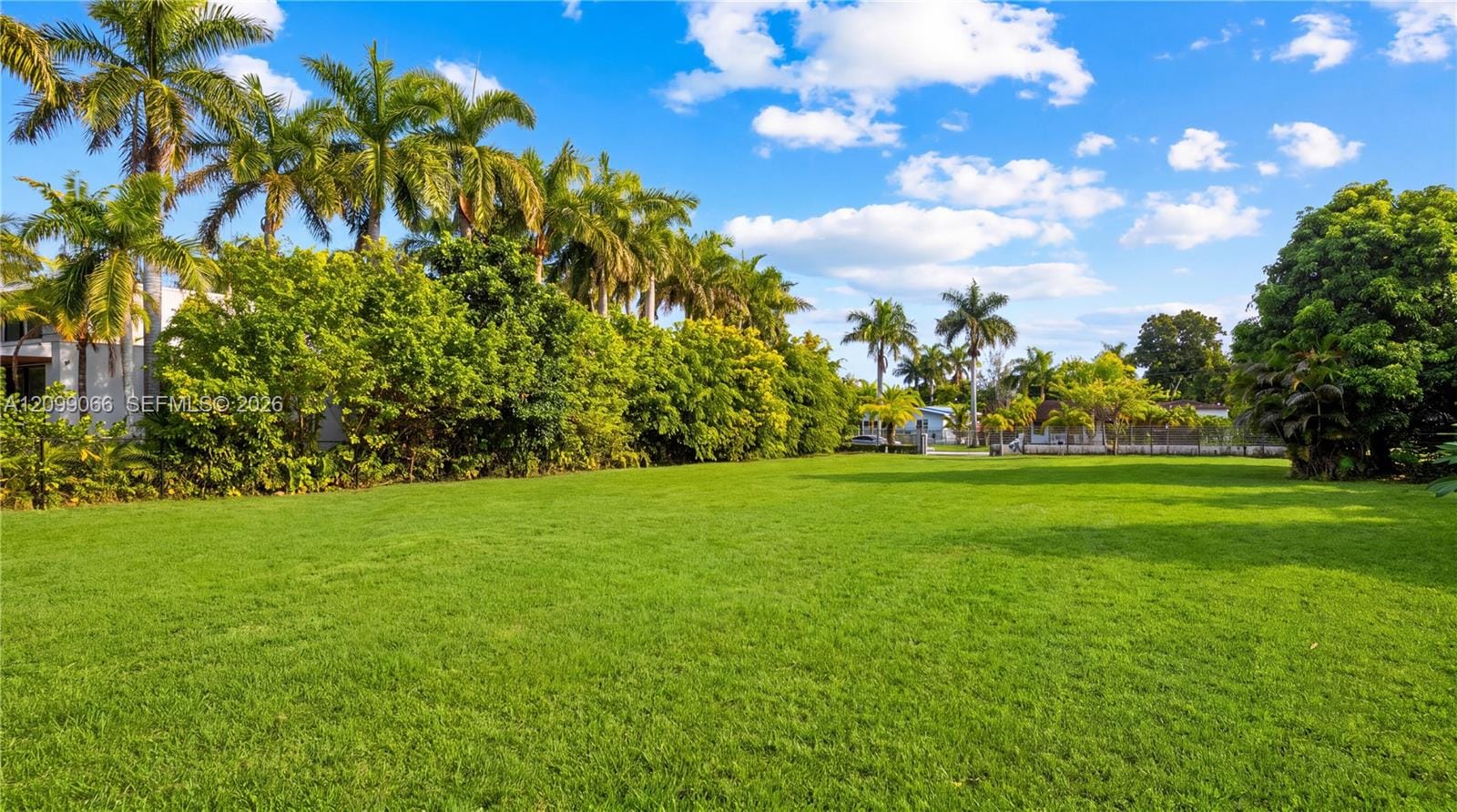 14000 NE 1st Avenue, Miami, FL 33161 photo 5