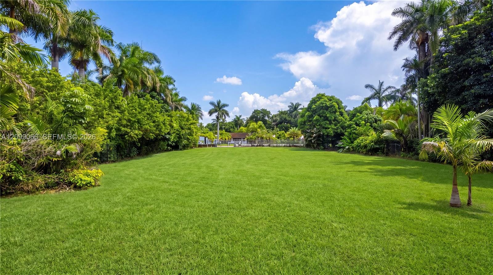 14000 NE 1st Avenue, Miami, FL 33161 photo 7