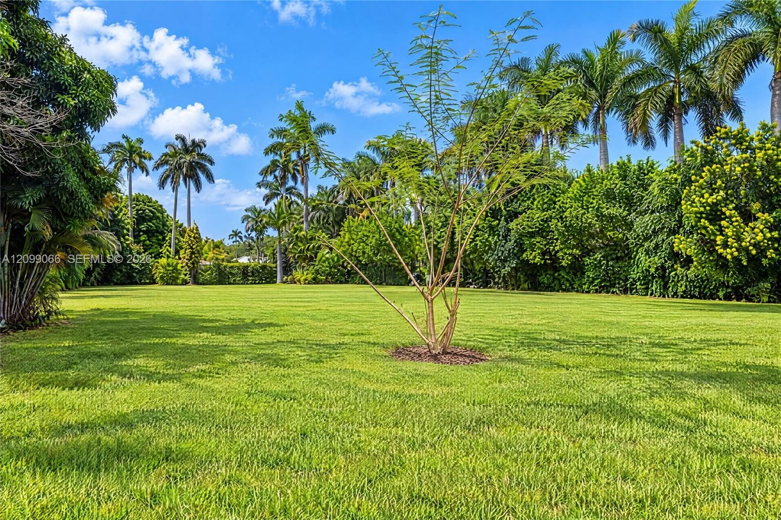 14000 NE 1st Avenue, Miami, FL 33161 photo 9