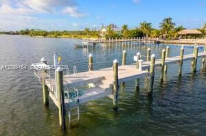 31473 Warner Street, Big Pine Key, FL 33043 photo 17