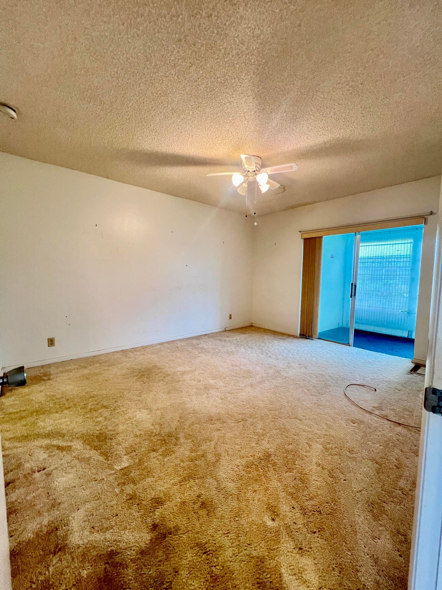 601 NW 78th Terrace 205, Margate, FL 33063 photo 11