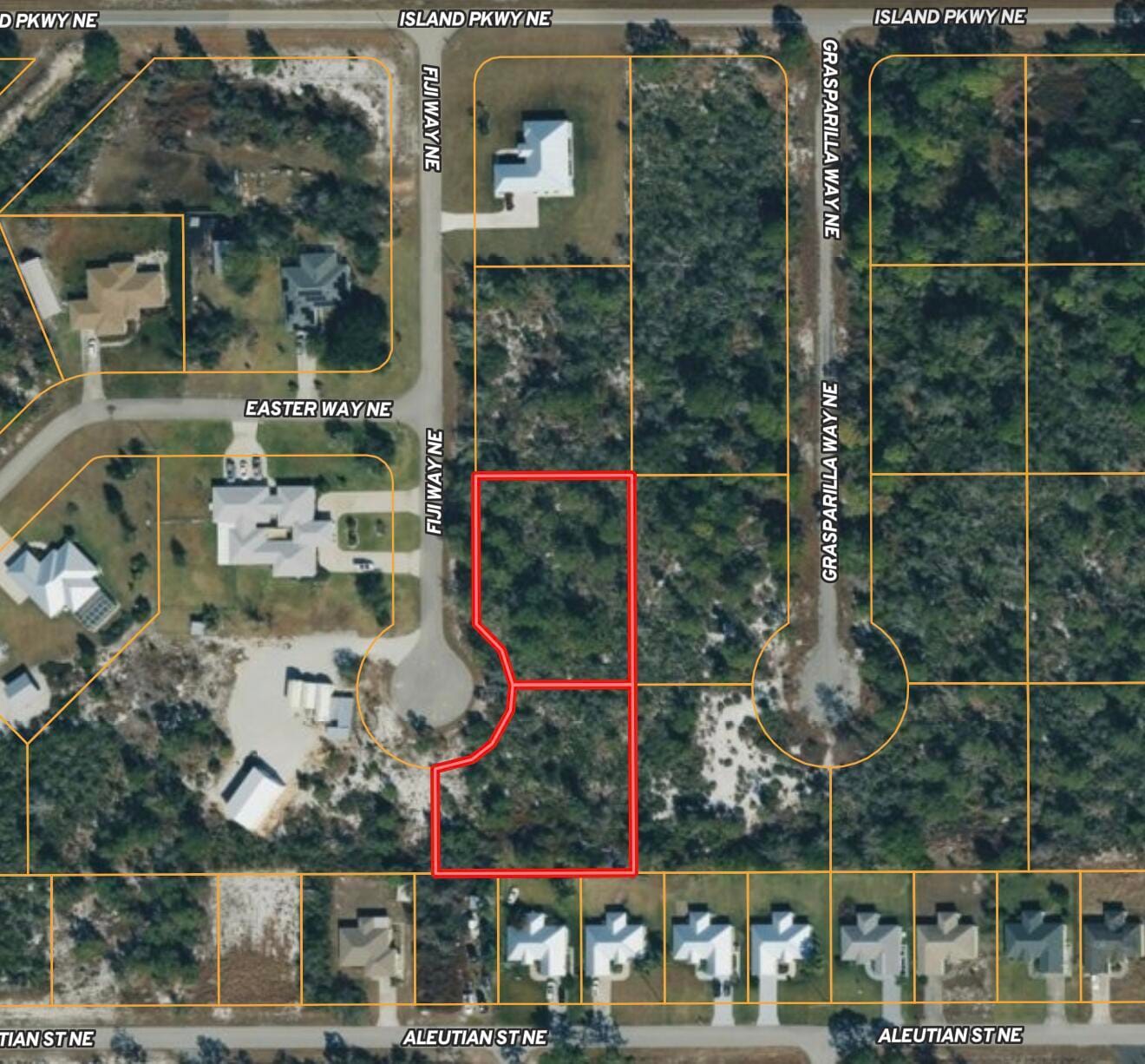 224 Fiji Way NE, Lake Placid, FL 33852 photo 14