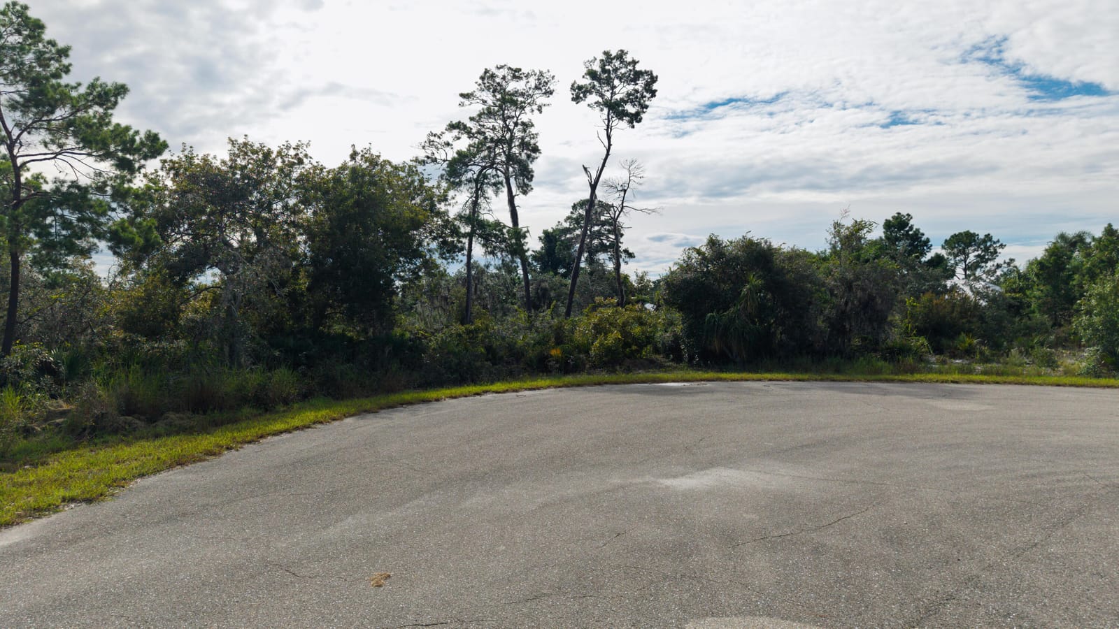 224 Fiji Way NE, Lake Placid, FL 33852 photo 6