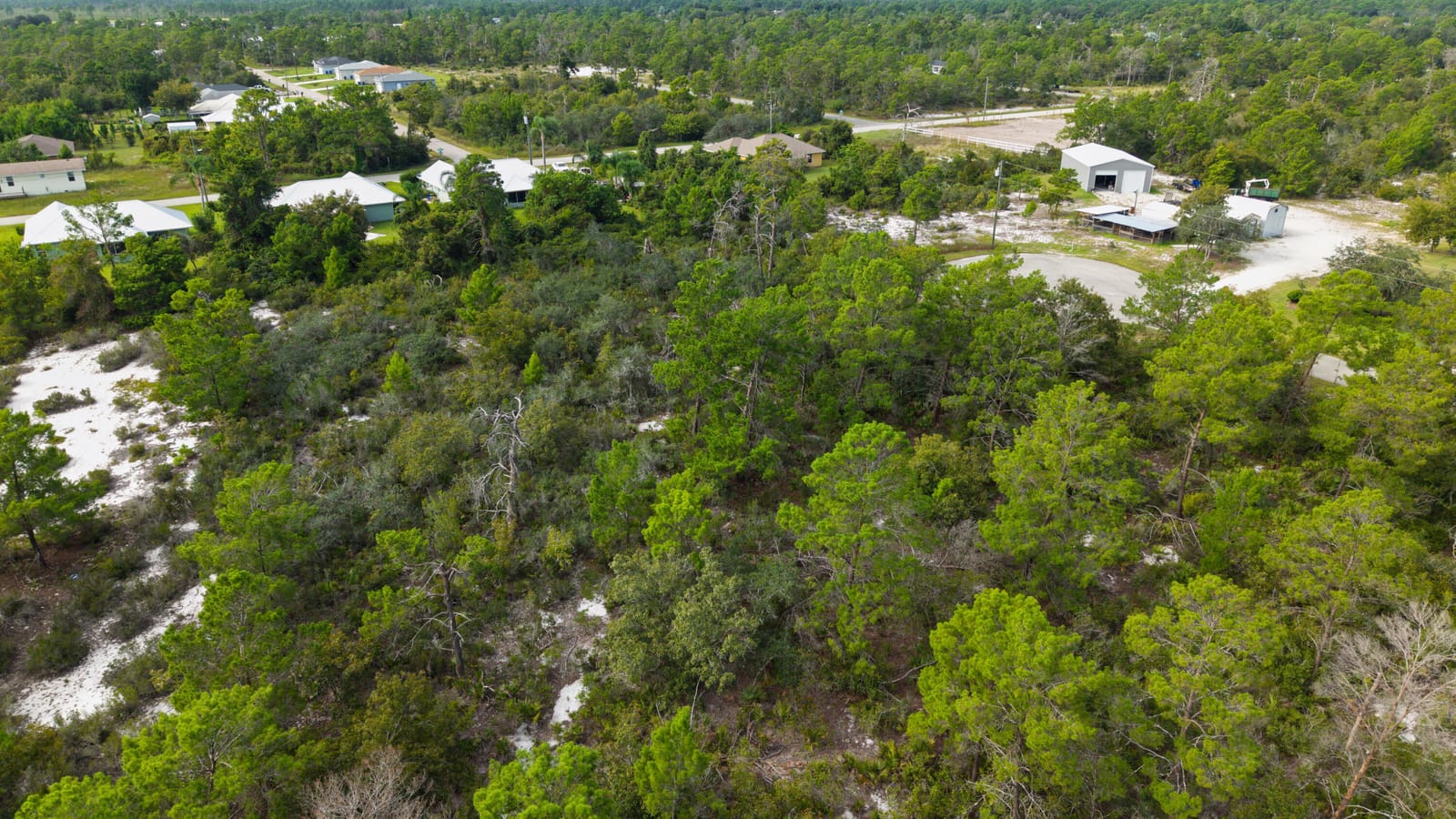 224 Fiji Way NE, Lake Placid, FL 33852 photo 9