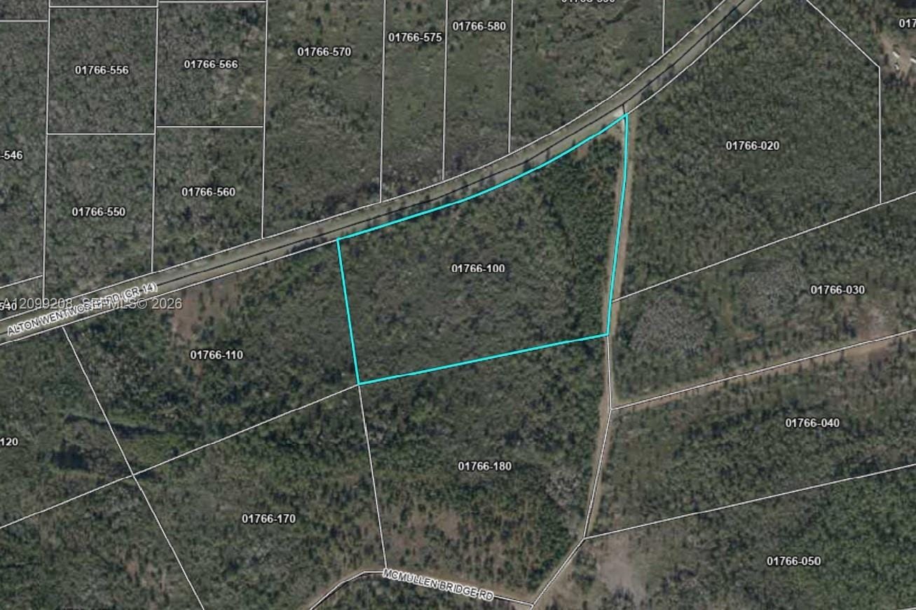 . Mcmullen Bridge Road, FL 32331 photo 2