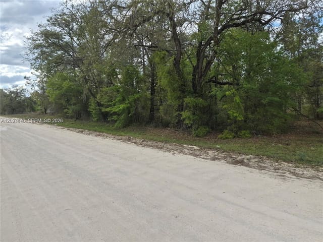 00 NE 4th Street, Williston, FL 32696