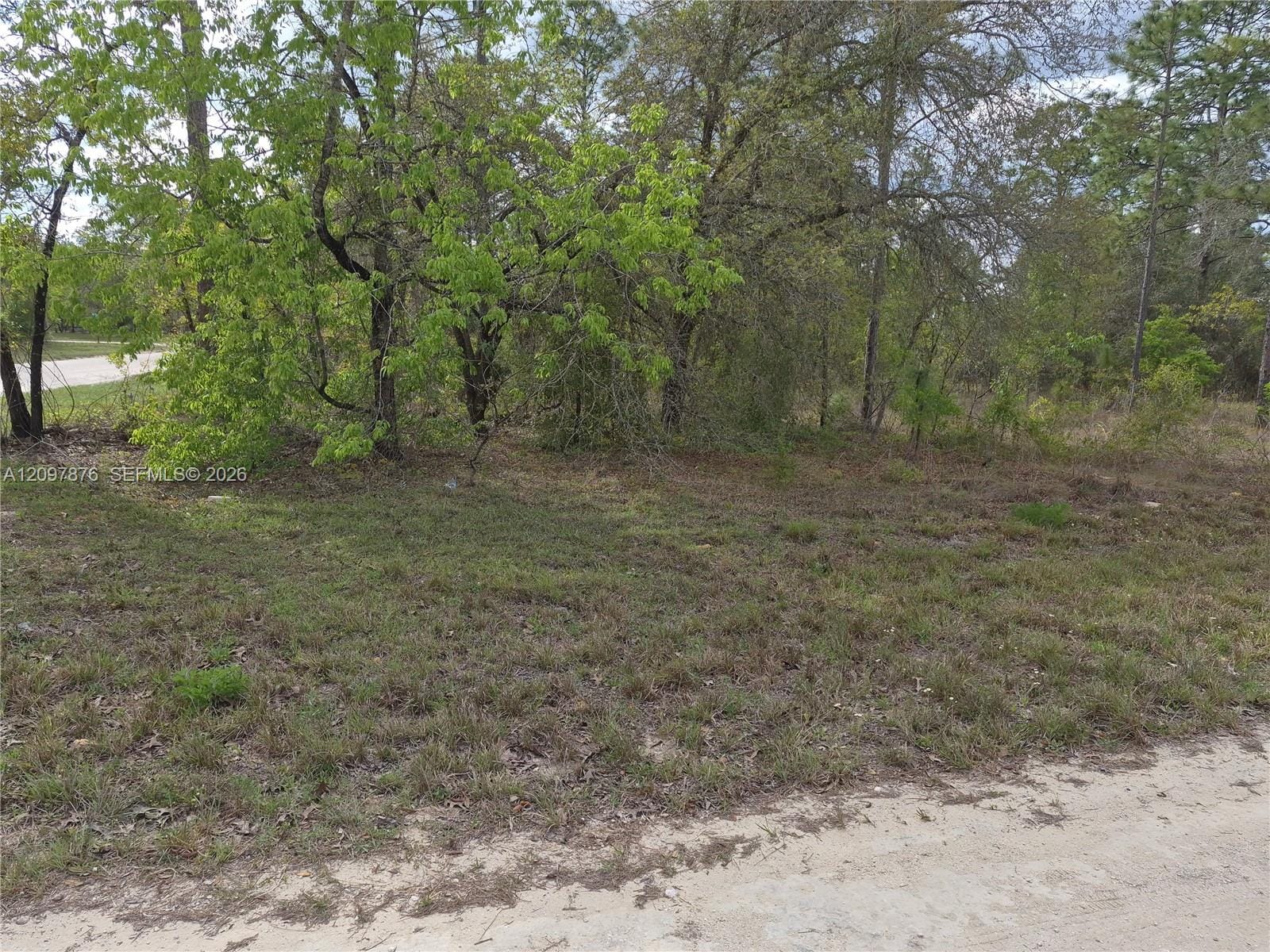 00 NE 4th Street, Williston, FL 32696 photo 3