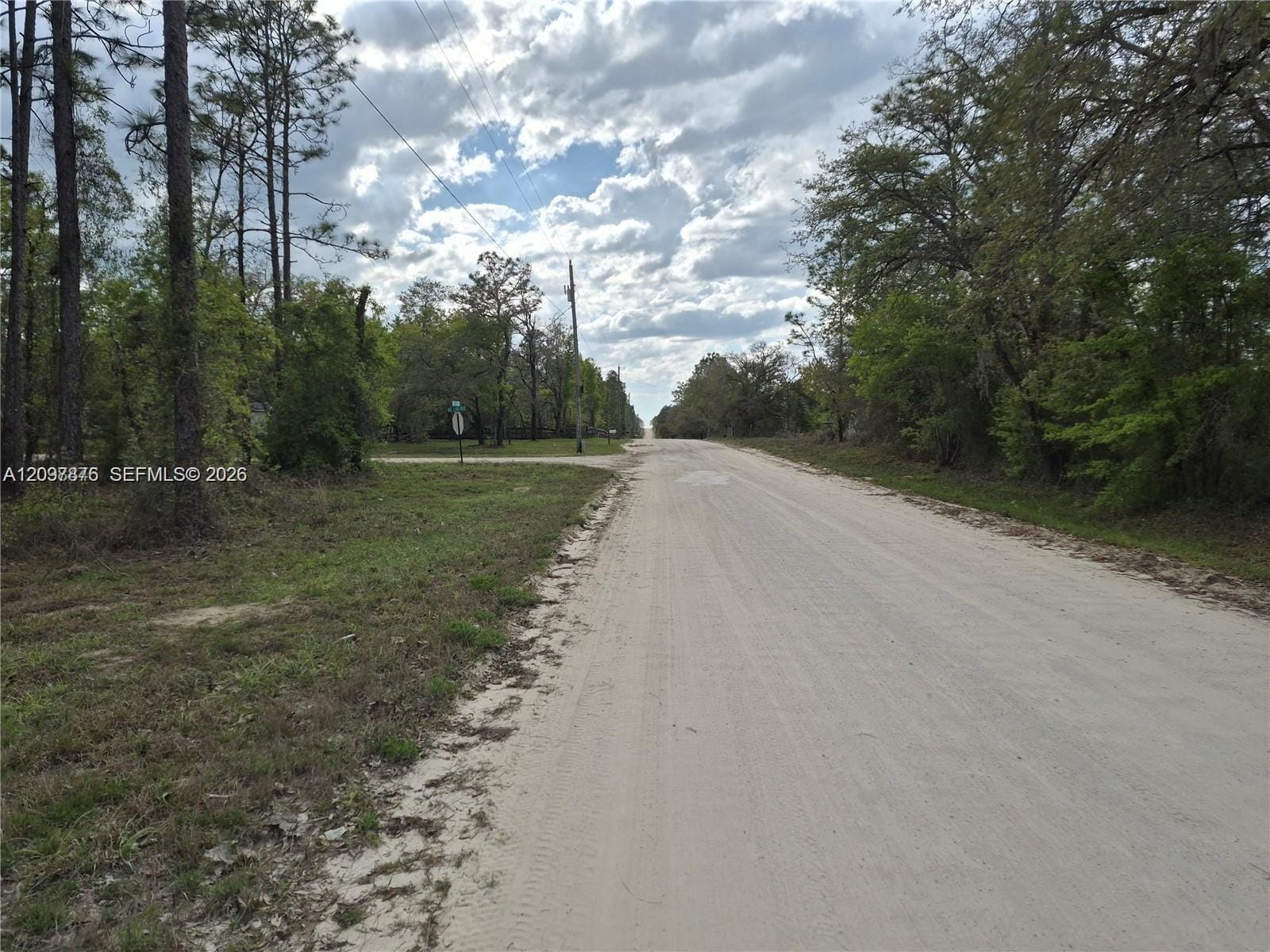 00 NE 4th Street, Williston, FL 32696 photo 4