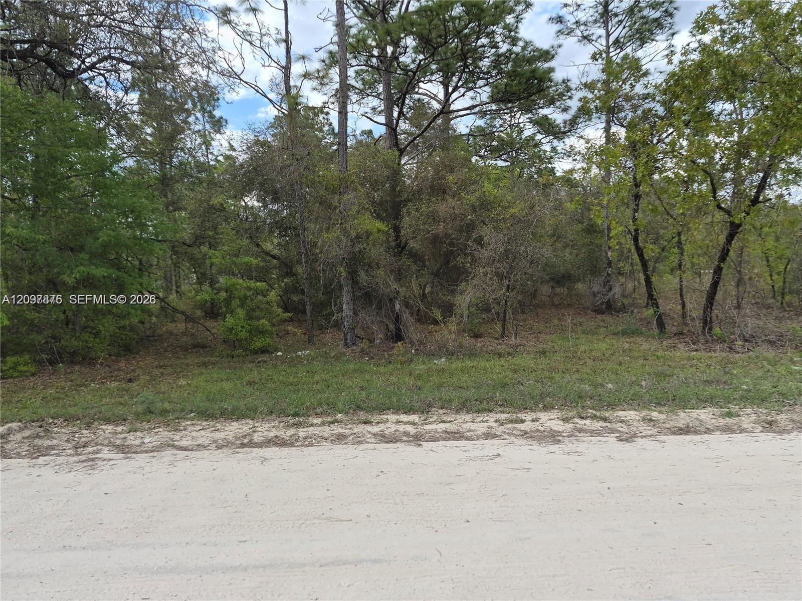 00 NE 4th Street, Williston, FL 32696 photo 5