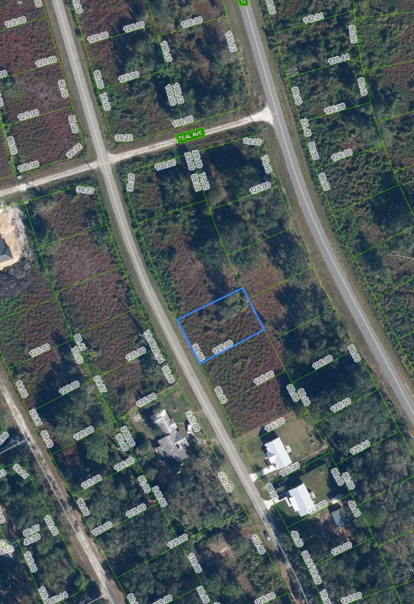 1027 ORIOLE Street, Lake Placid, FL 33852 photo 2
