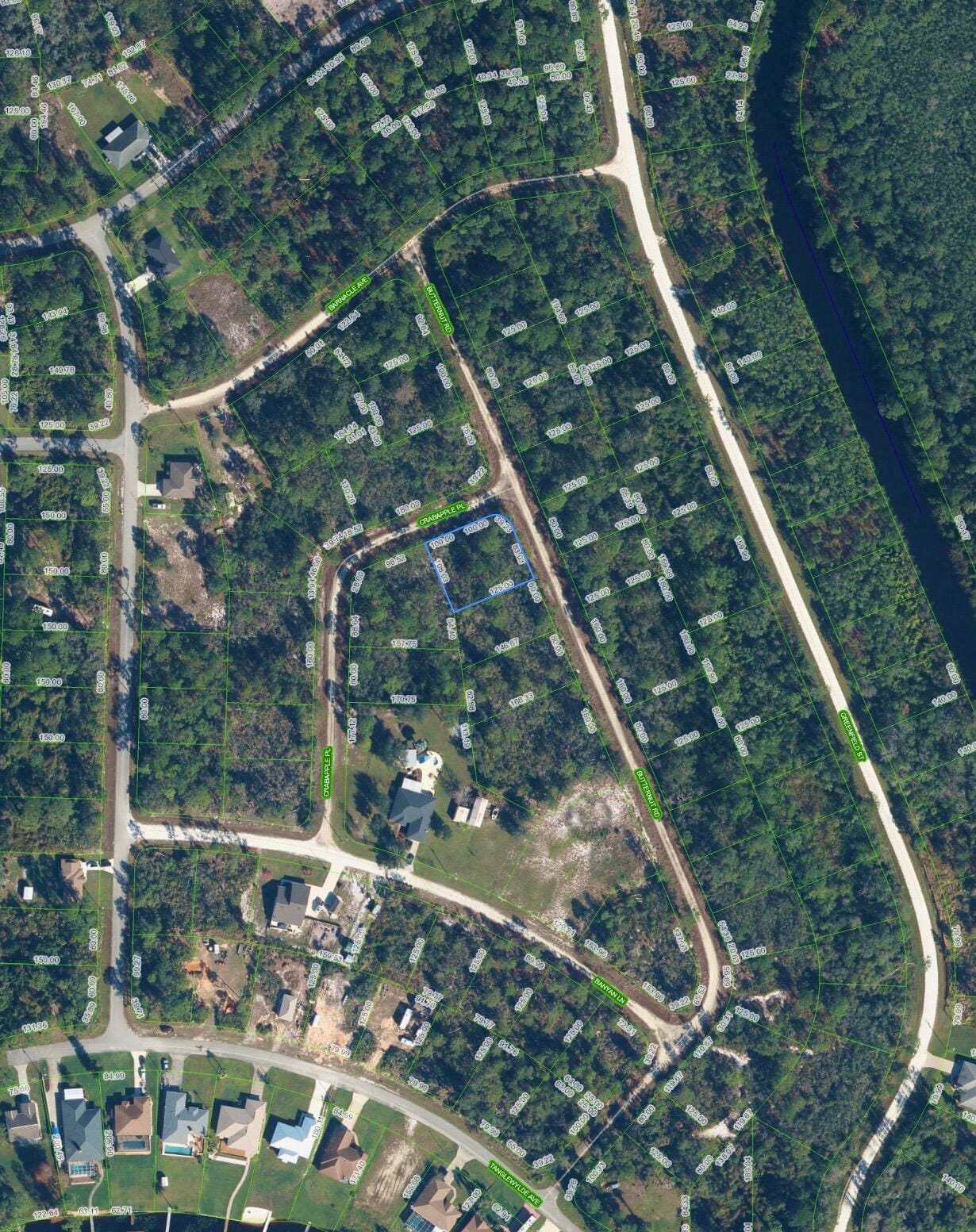 1123 CRABAPPLE Place, Lake Placid, FL 33852 photo 2