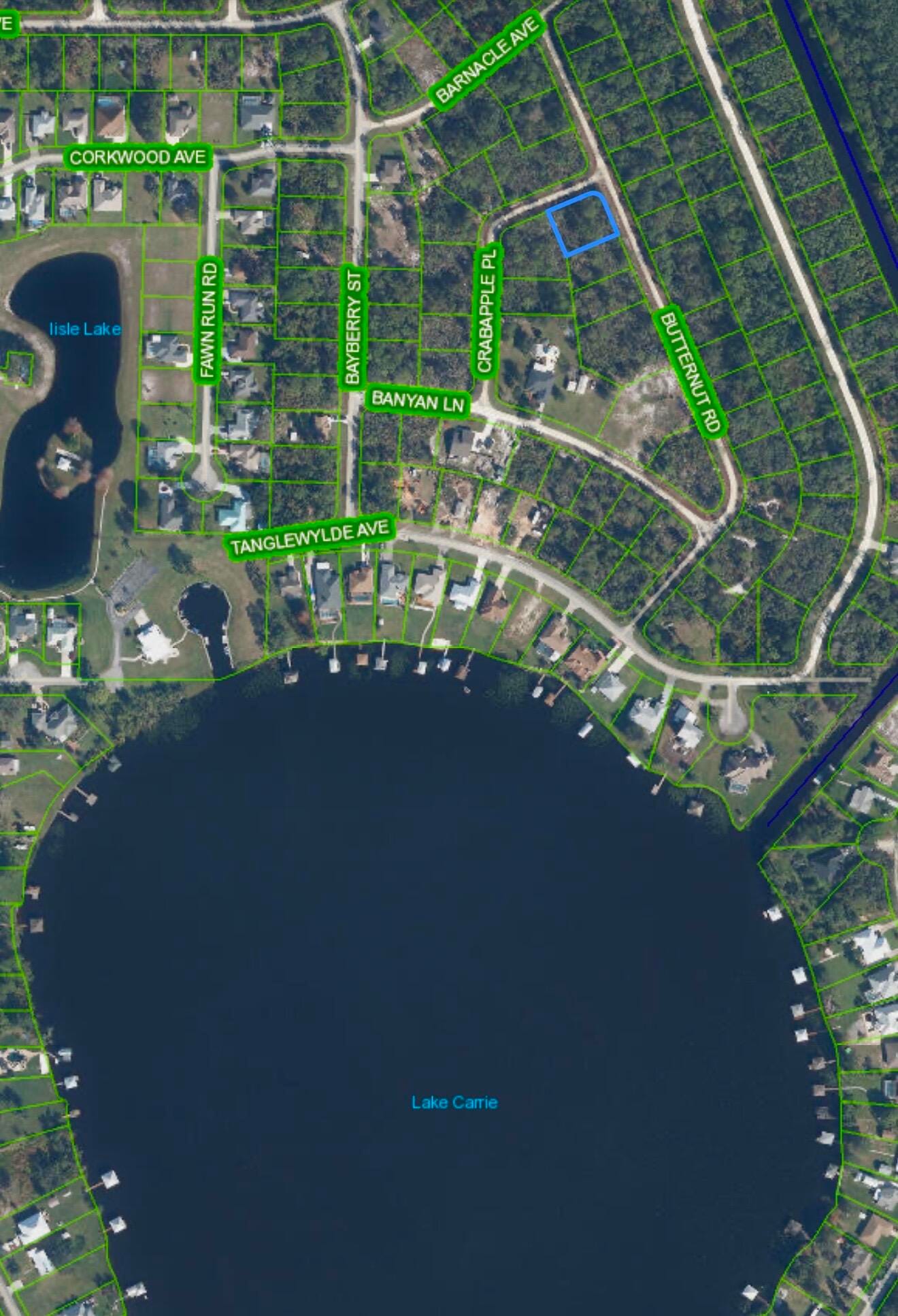 1123 CRABAPPLE Place, Lake Placid, FL 33852 photo 3