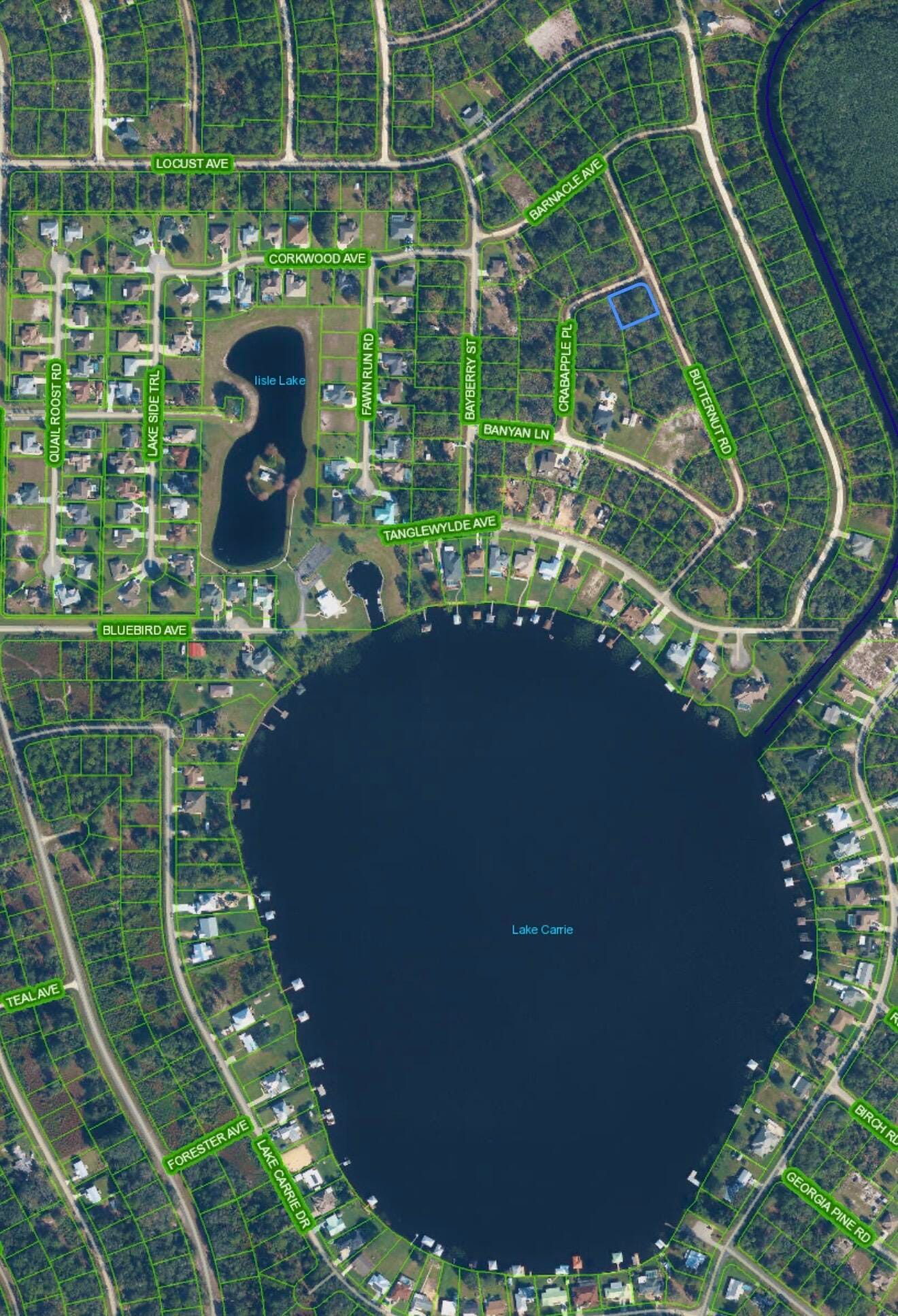 1123 CRABAPPLE Place, Lake Placid, FL 33852 photo 4