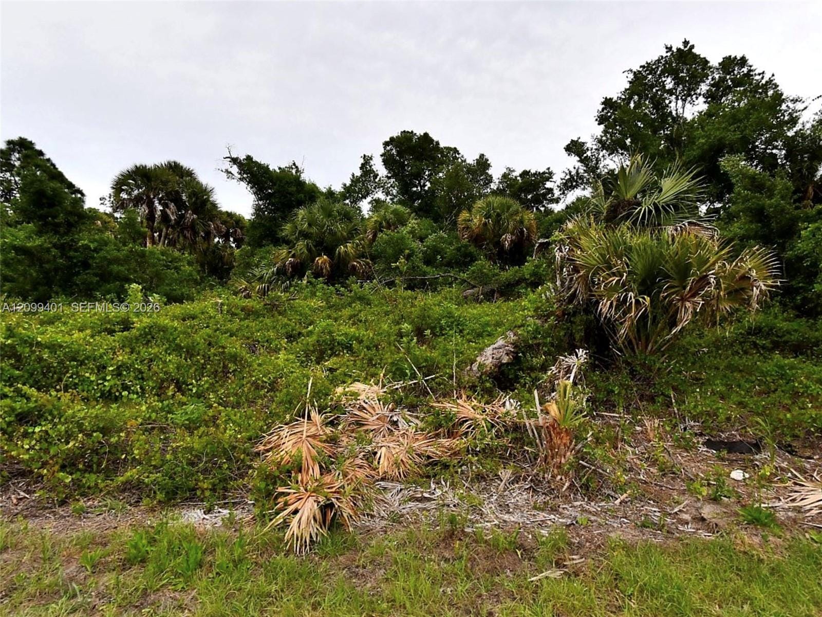 0000 Kerman Street, North Port, FL 34288 photo 2