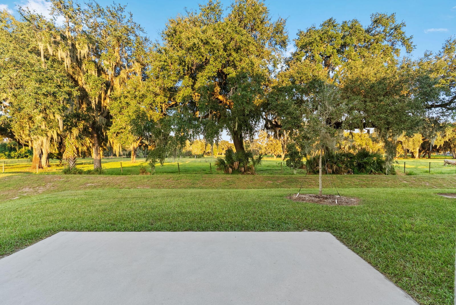 3970 COLLEGIATE Boulevard, Lakeland, FL 33803 photo 3
