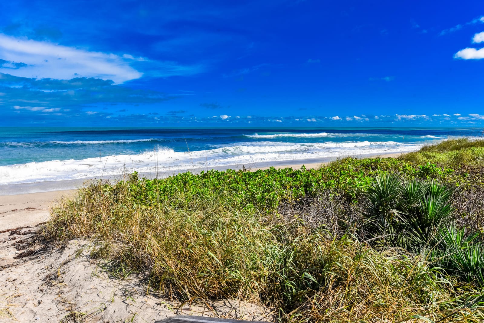 5333 SE Miles Grant Road 205, Stuart, FL 34997 photo 22