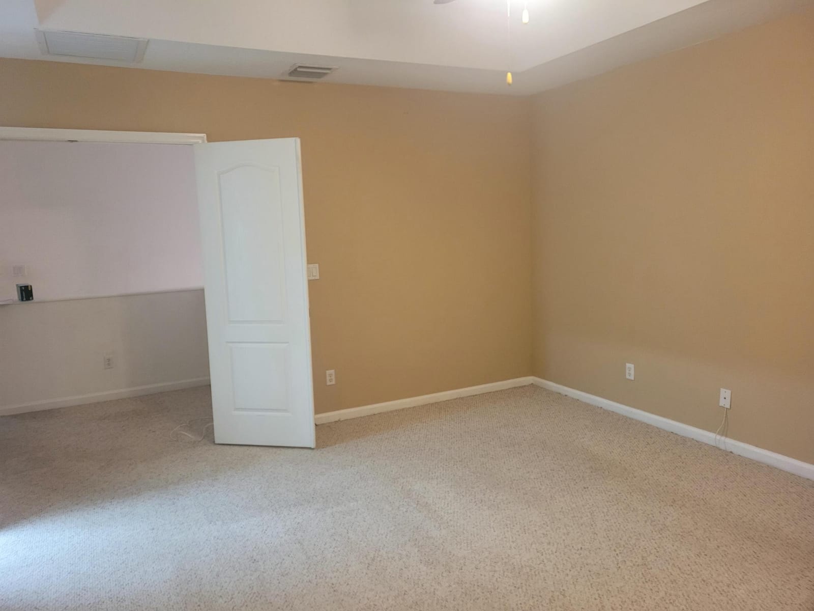 4206 COHUNE PALM Court — photo 11