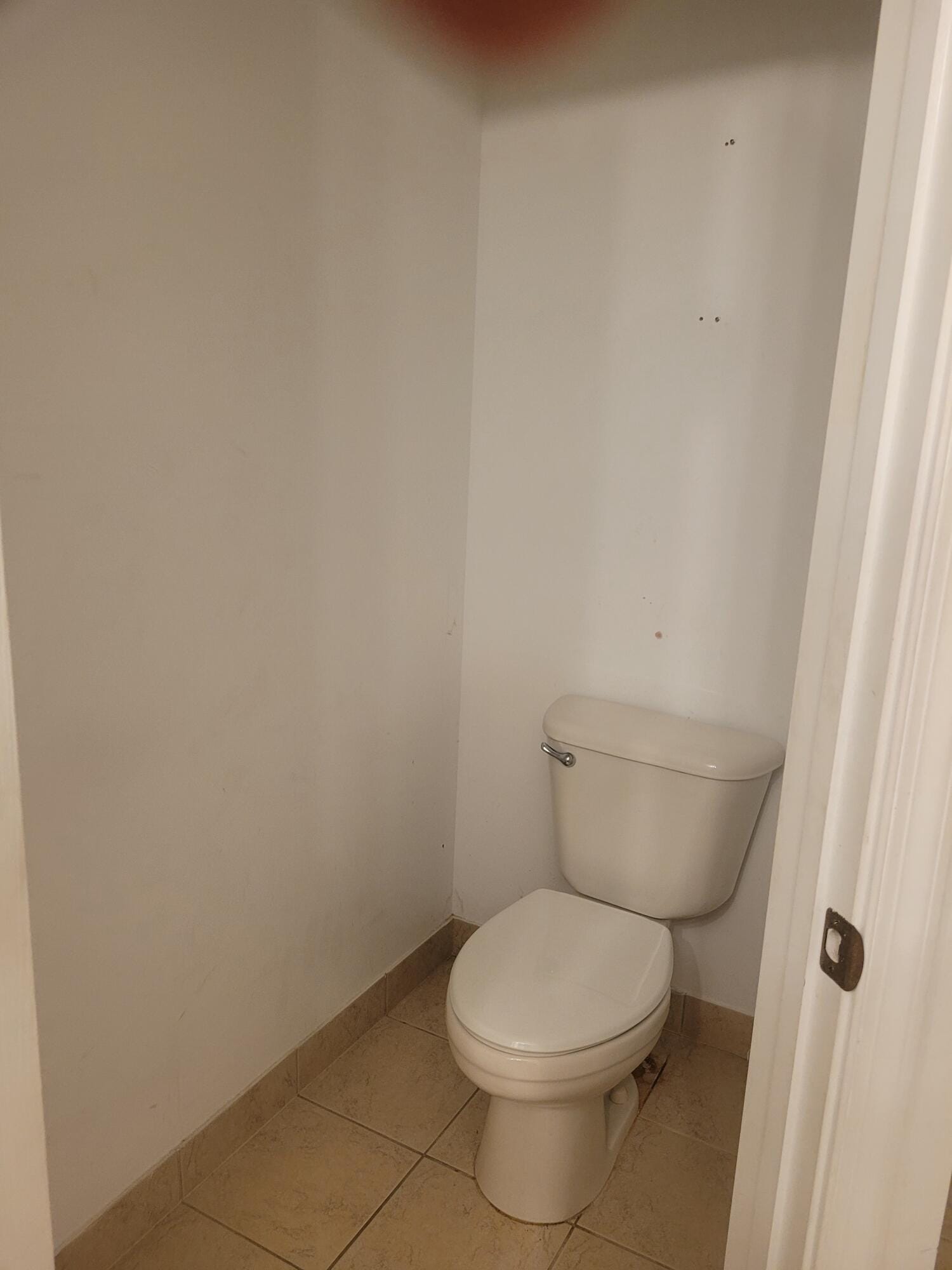 4206 COHUNE PALM Court — photo 12