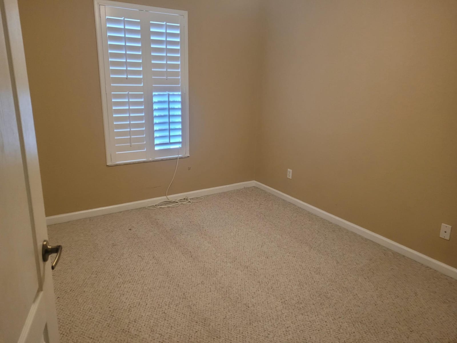 4206 COHUNE PALM Court — photo 8