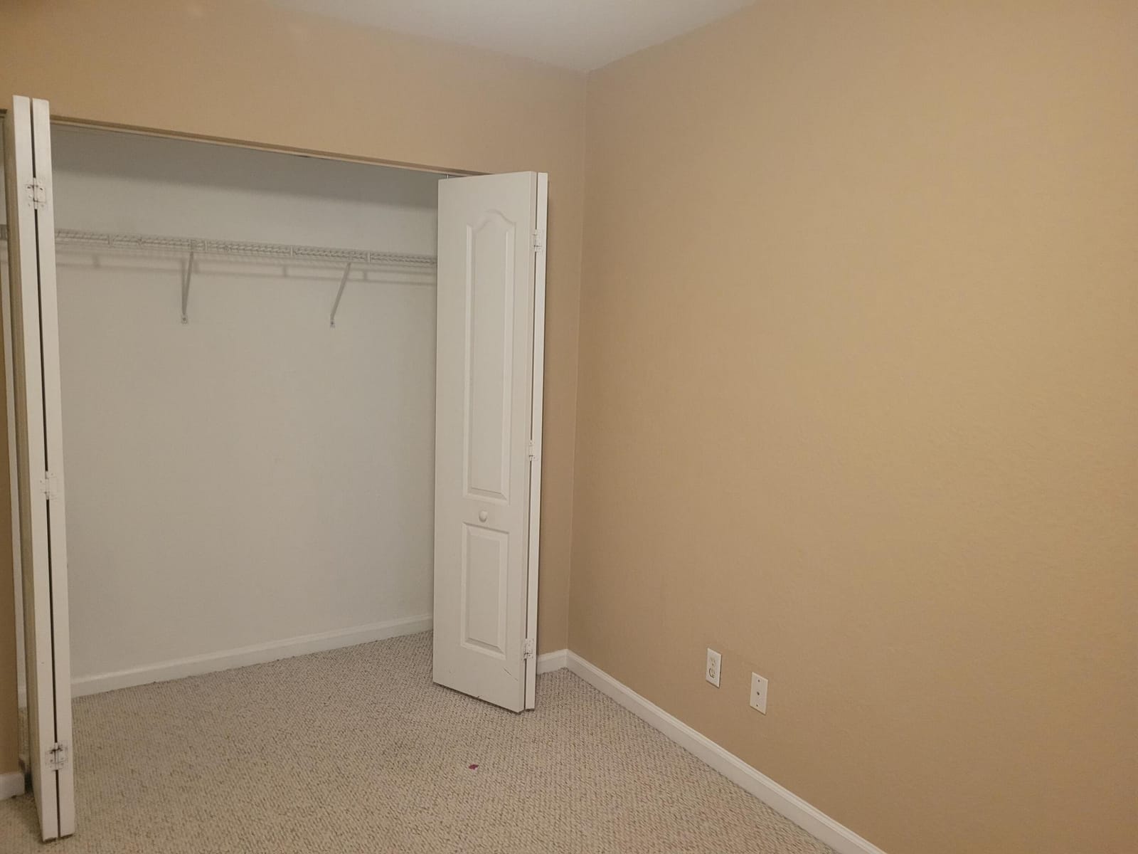 4206 COHUNE PALM Court — photo 9