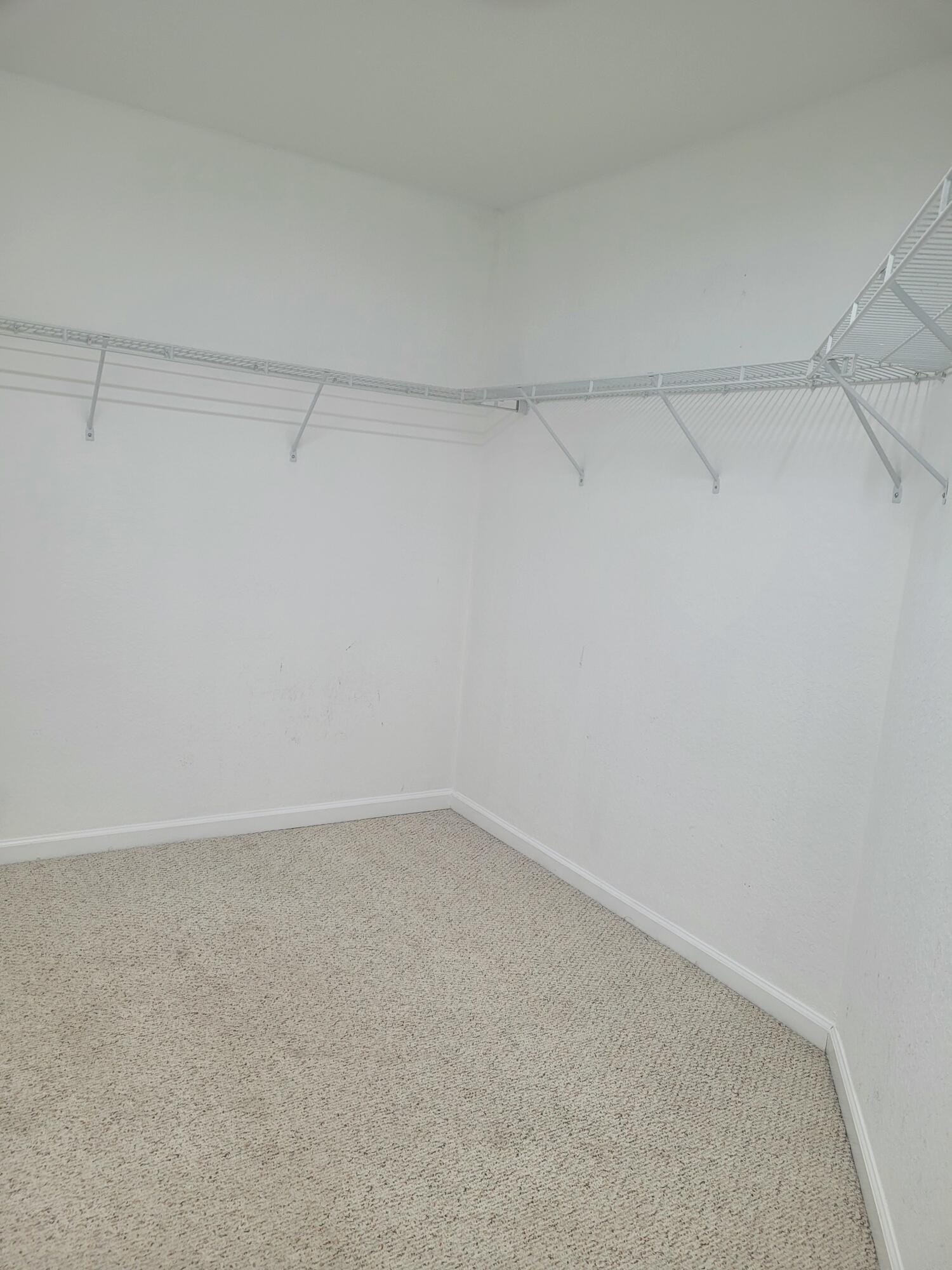 4206 COHUNE PALM Court — photo 10