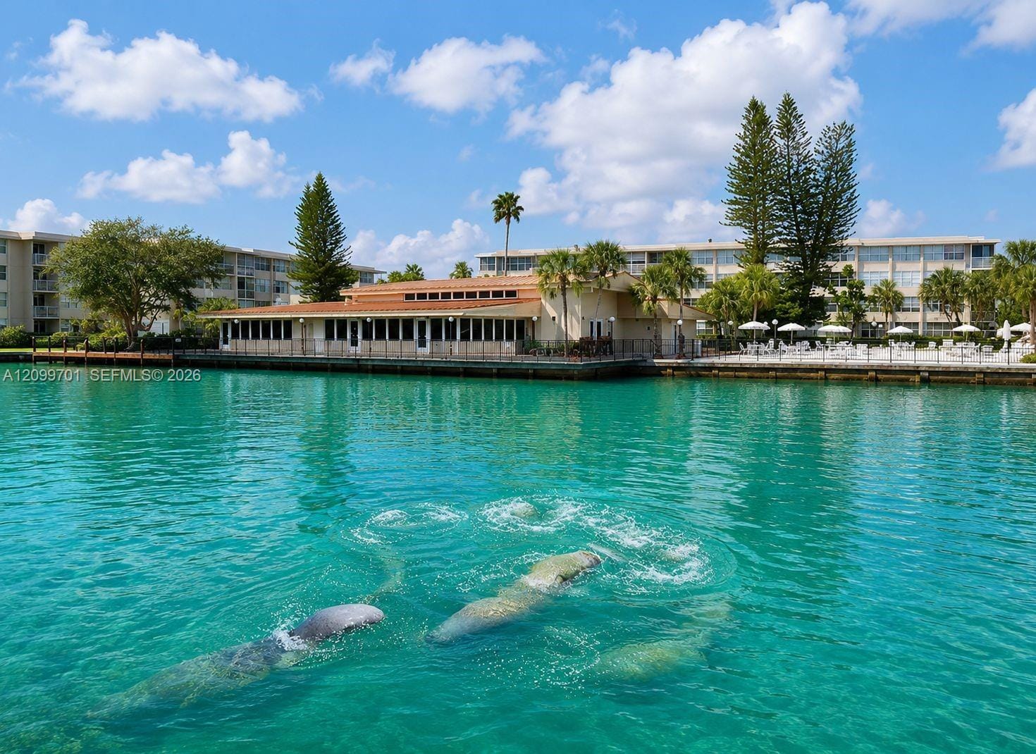 2741 Taft Street 206, Hollywood, FL 33020