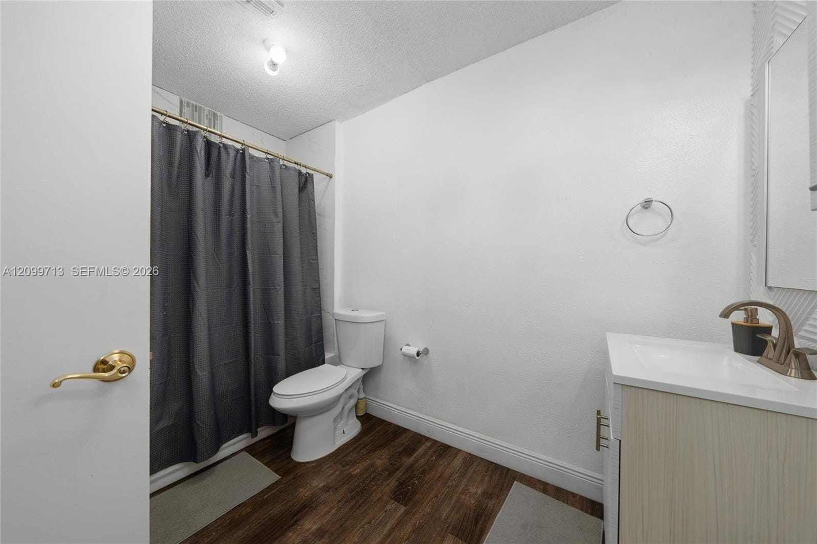 13301 Summerton Drive, FL 32824 photo 23