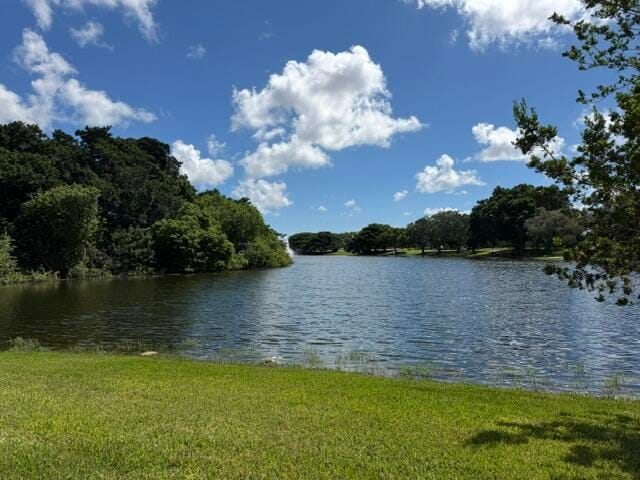 10452 Lake Vista Circle, Boca Raton, FL 33498 photo 21