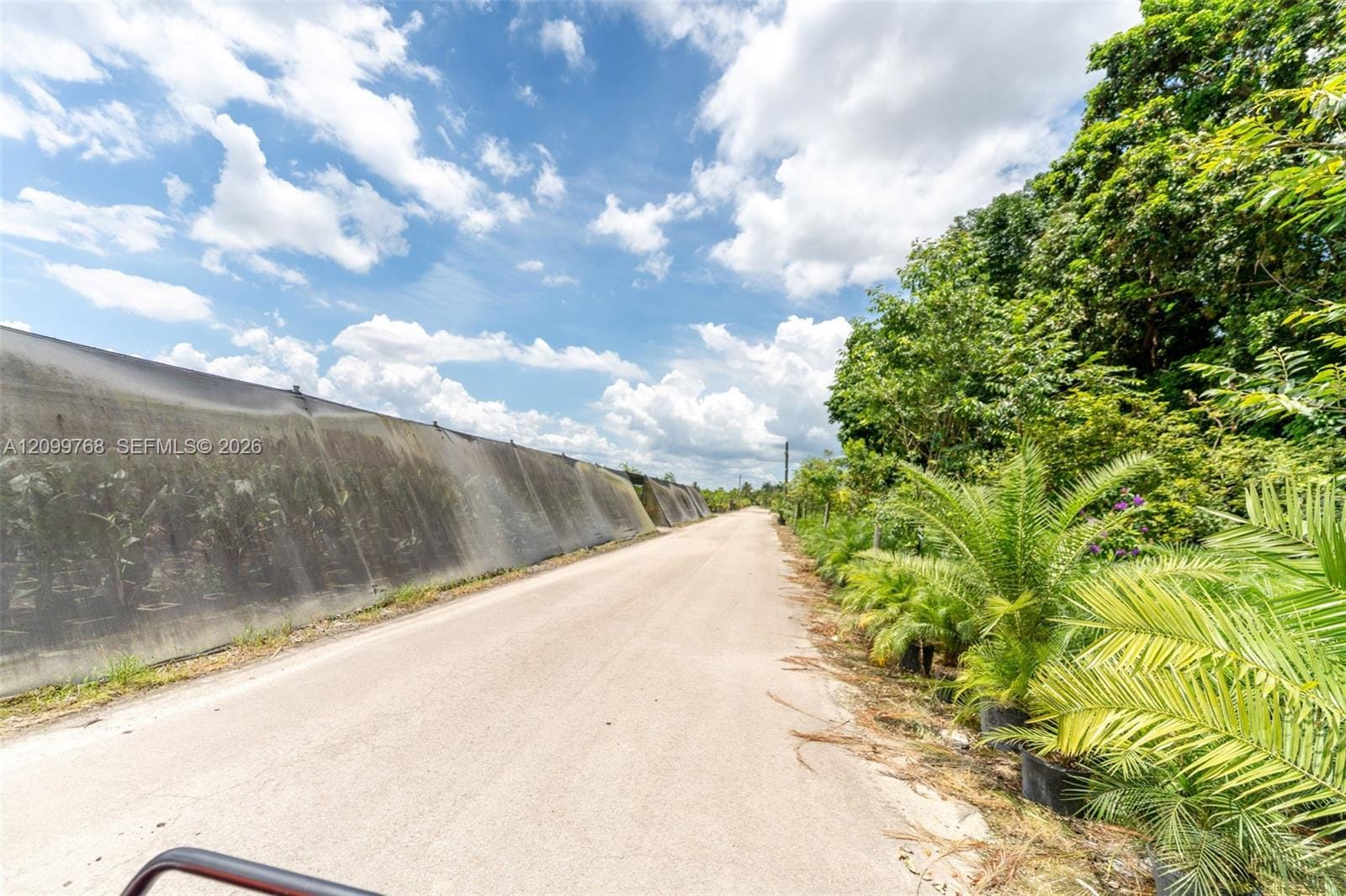 19050 SW Krome Aka 177 Avenue, Miami, FL 33187 photo 12