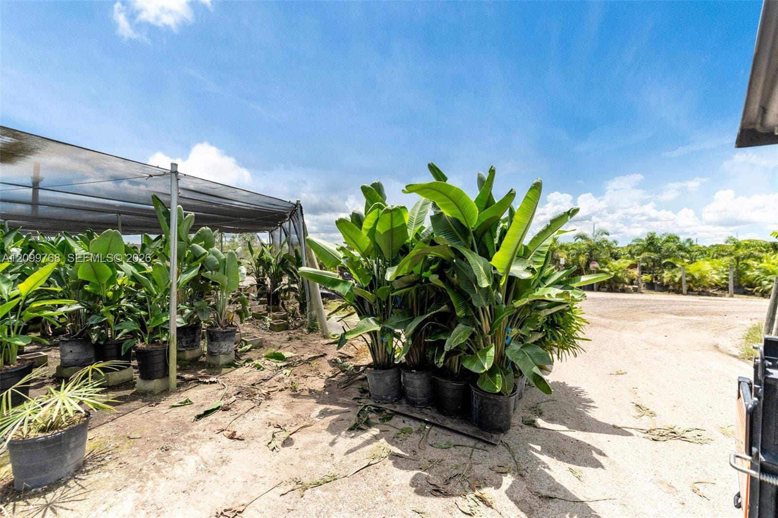 19050 SW Krome Aka 177 Avenue, Miami, FL 33187 photo 14